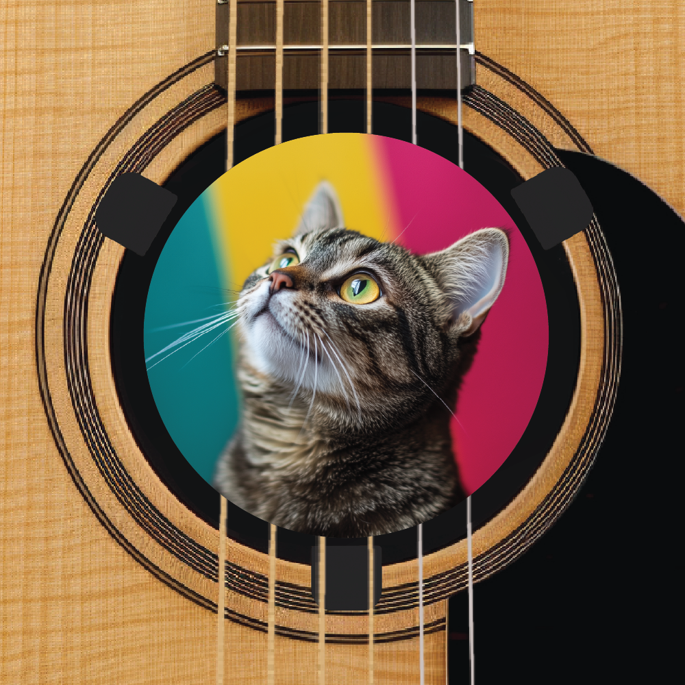 Custom acoustic guitar accessory - upload your own photo - cat