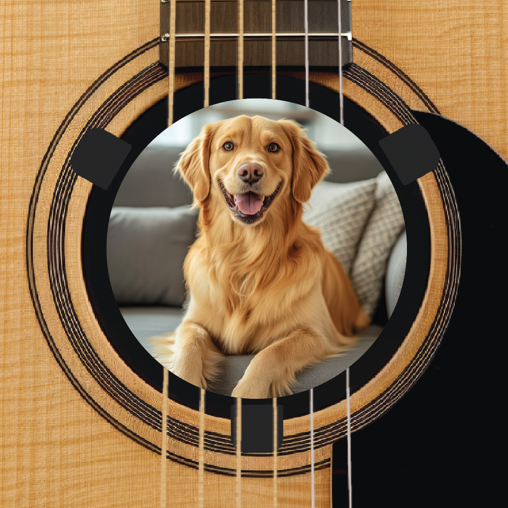 Custom acoustic guitar accessory - upload your own photo - retriever